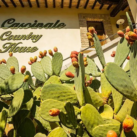 Il Cascinale בית חווה *
