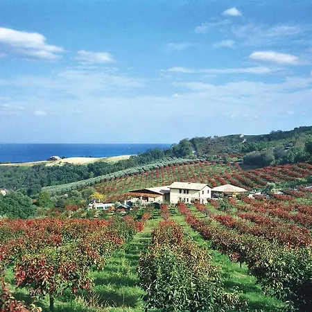 Il Cascinale * Колоннелла