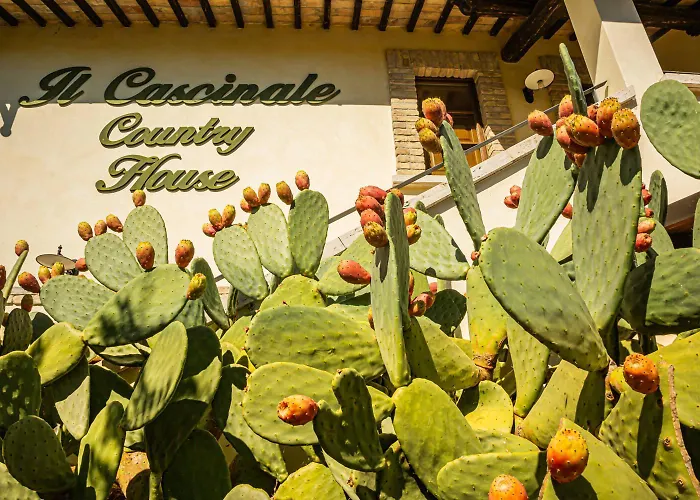 Il Cascinale Alloggio per agriturismo *